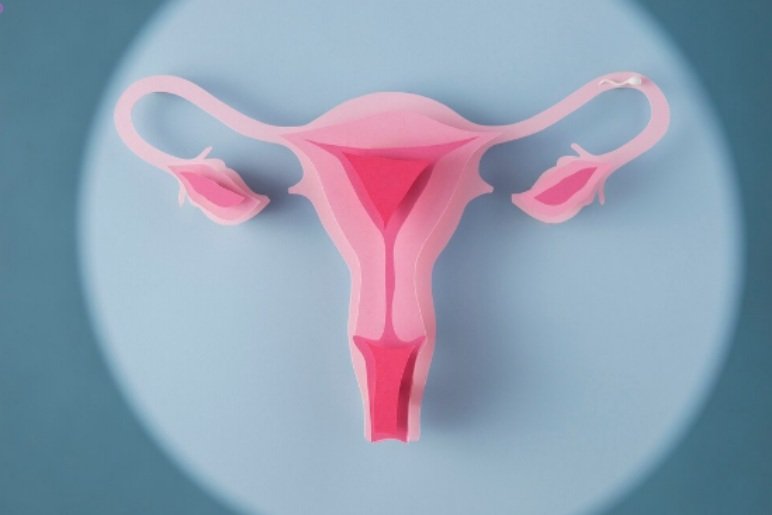 What Is Uterus Removal Surgery?