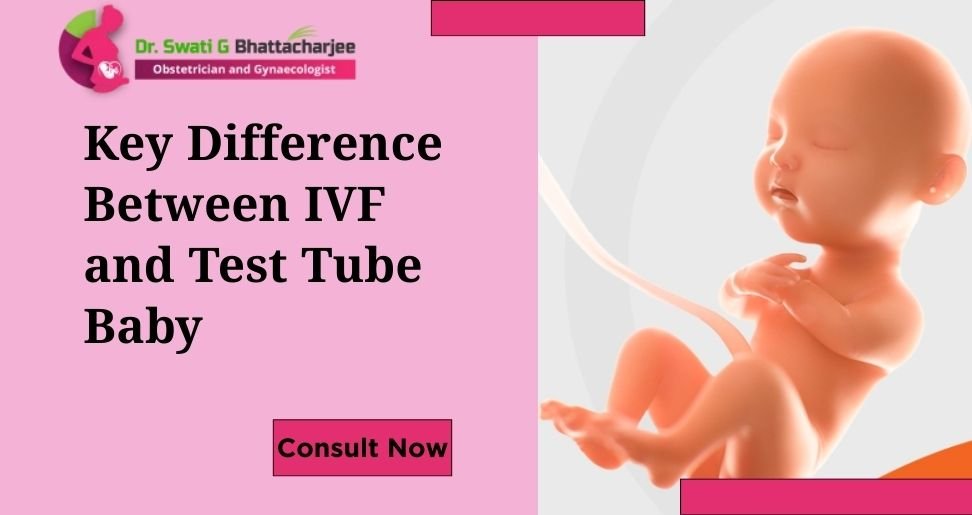 Key Difference Between IVF and Test Tube Baby. You Should Know.